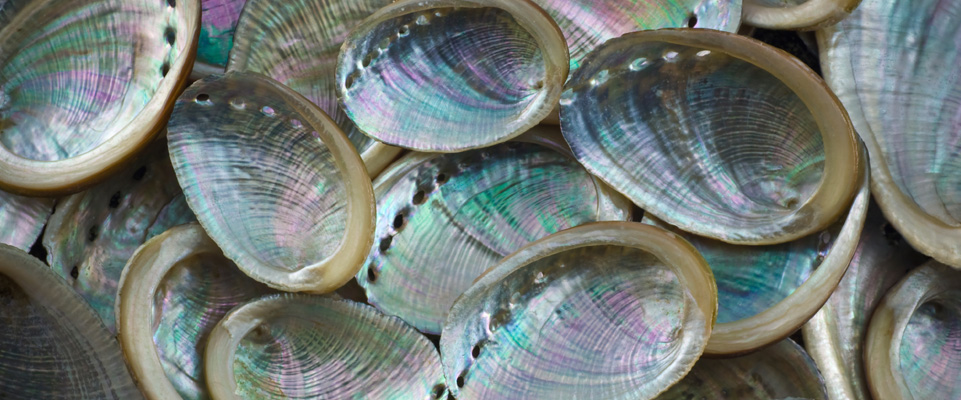 banner-img2.jpg